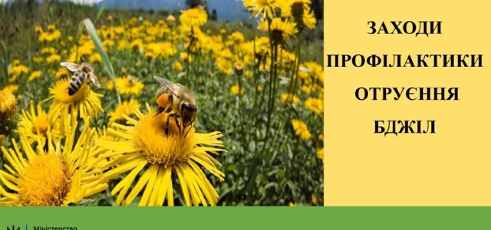 Заходи профілактики отруєння бджіл